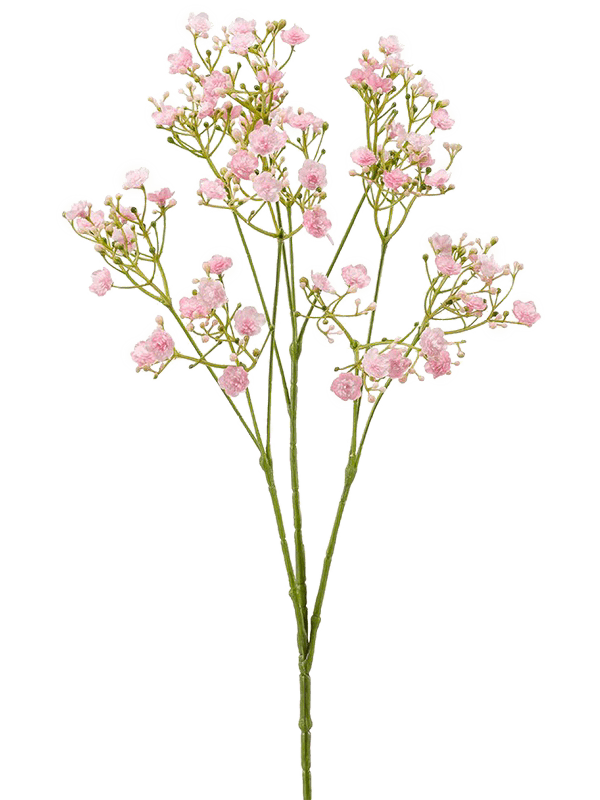 Gypsophila Branch Pink - Foto 51601