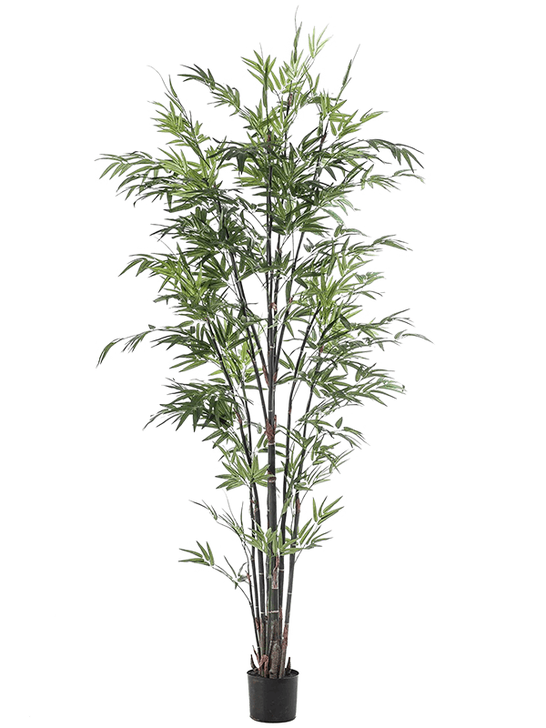 Bamboo Tree 210cm (2 parts) - Foto 51683