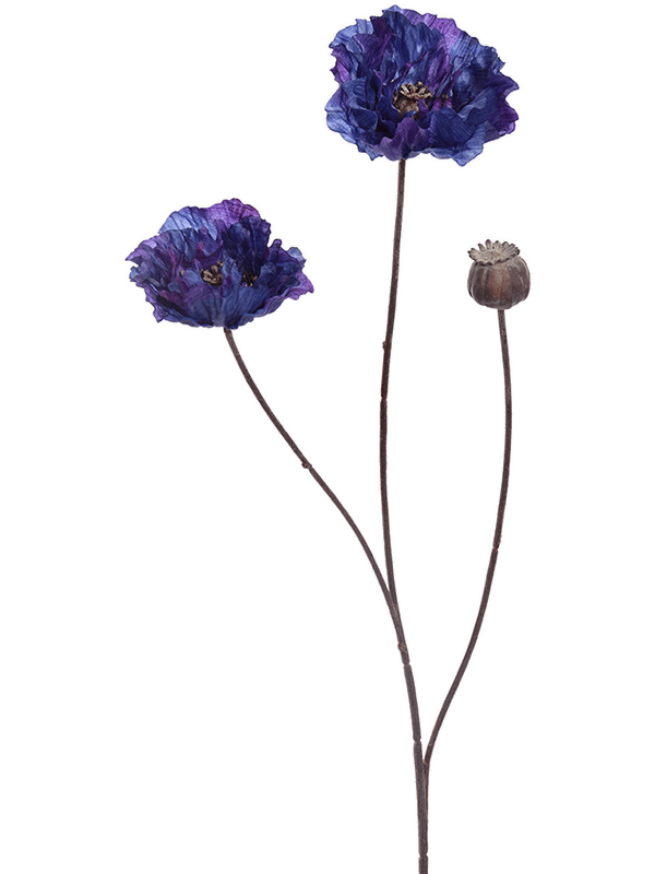 Poppy Purple - Foto 51711