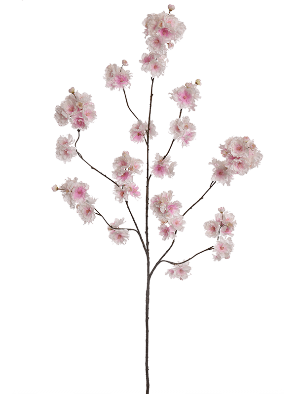 Blossom Pink - Foto 51716