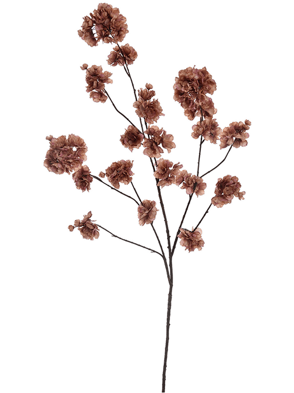 Blossom Taupe - Foto 51778