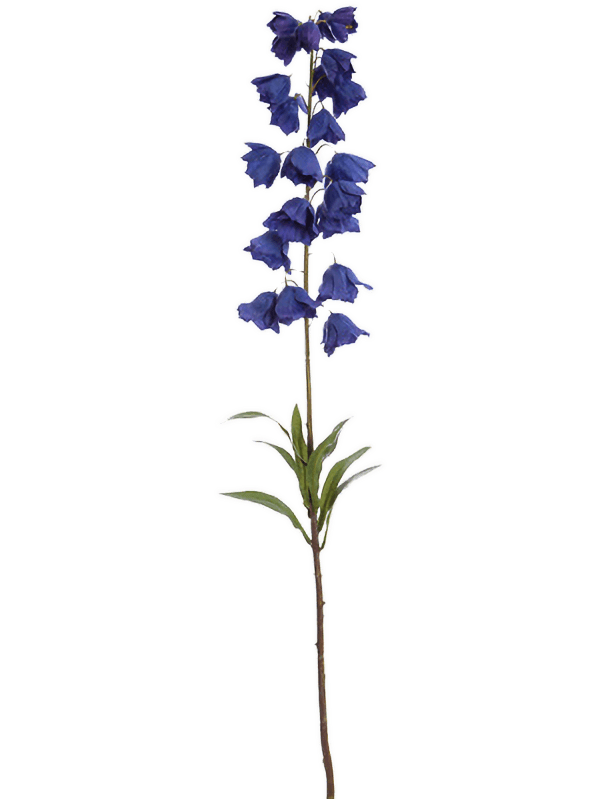 Fritillaria Dark Blue - Foto 51815