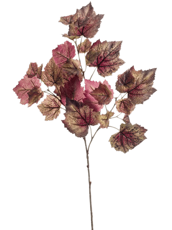Grape Leaf Branch Purple - Foto 57019