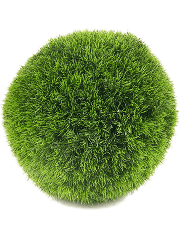 Grass Ball - Foto 57022