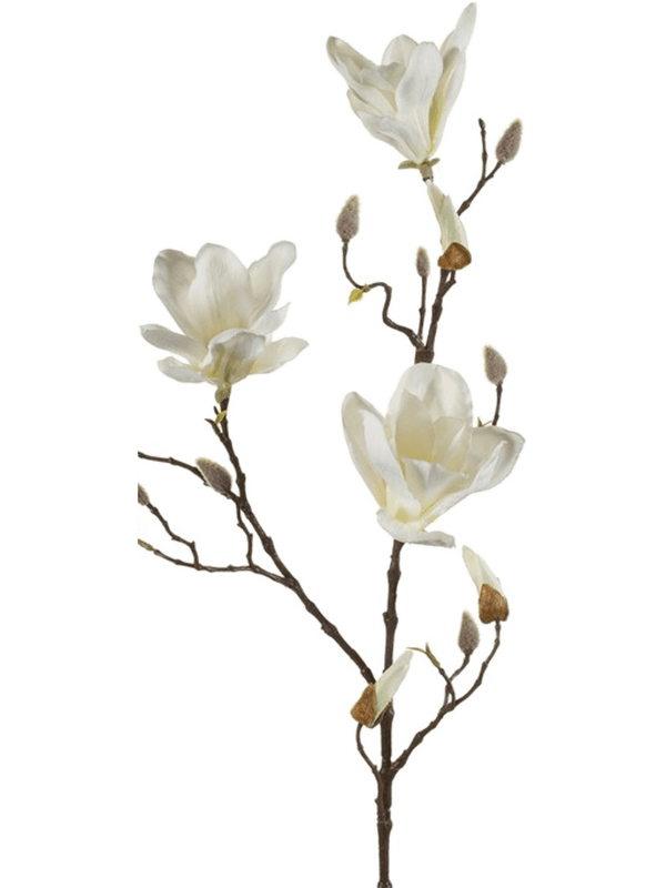 Magnolia Branch Cream Typ 2 - Foto 57061