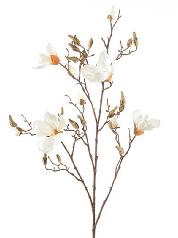Magnolia Branch Cream - Foto 57062