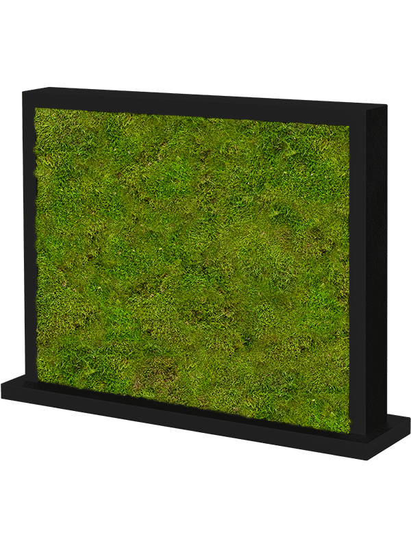 Moss Divider MDF Ral 9005 Satingloss Two-sided 100% Flat moss - Foto 57156
