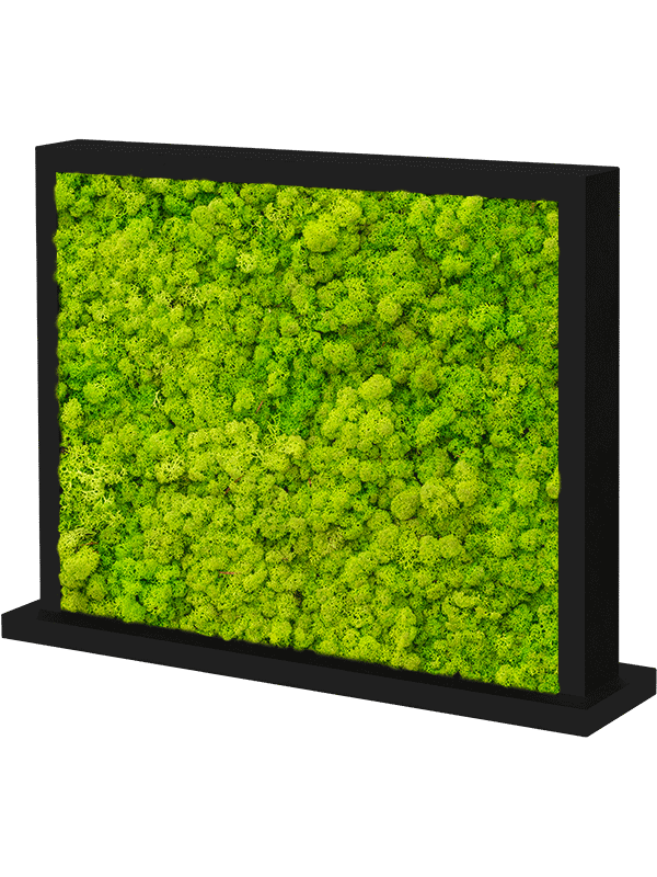 Moss Divider MDF Ral 9005 Satingloss Two-sided Reindeer moss(Spring green) - Foto 57158
