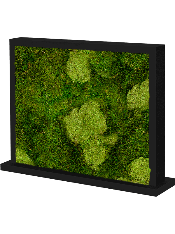 Moss Divider MDF Ral 9005 Satingloss Two-sided 30% Ball moss (natural) and 70% flat moss - Foto 57160