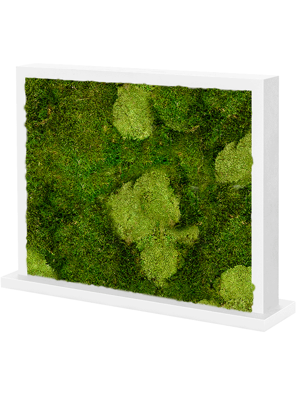 Moss Divider MDF Ral 9010 Satingloss Two-sided 30% Ball moss (natural) and 70% flat moss - Foto 57166