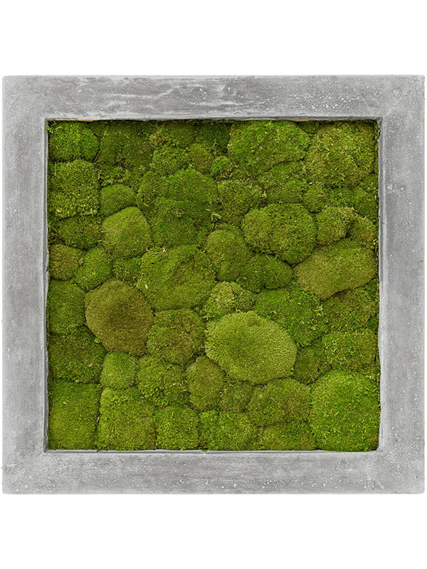 Moss Painting Polystone Raw Grey 100% Ball moss - Foto 57171
