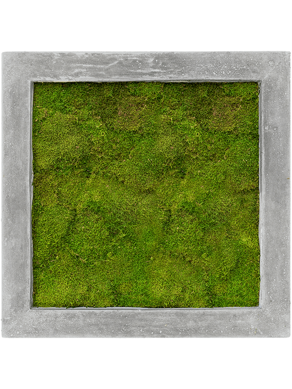 Moss Painting Polystone Raw Grey 100% Flat moss - Foto 57173