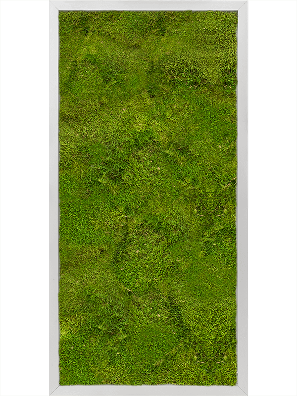 Moss Painting Aluminum 100% Flat moss - Foto 57213