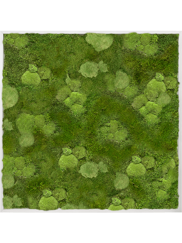 Moss Painting Aluminum 30% Ball- and 70% Flat moss - Foto 57247
