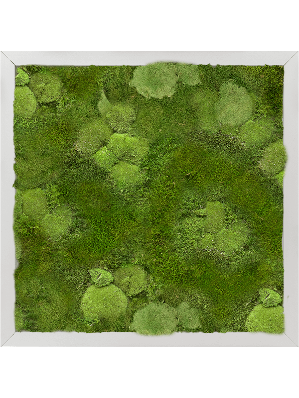 Moss Painting Aluminum 30% Ball- and 70% Flat moss - Foto 57250