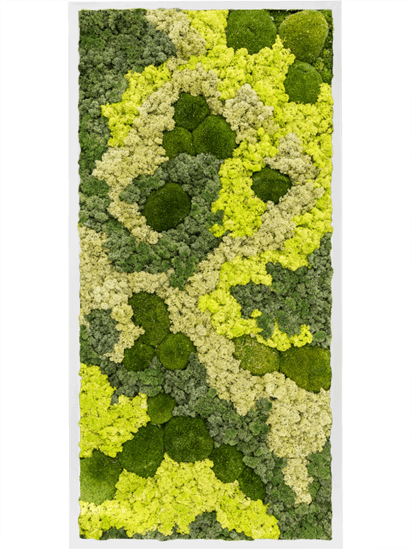 Moss Painting MDF RAL 9010 Satin Gloss 30% Ball moss 70% Reindeer moss (Mix) - Foto 57448