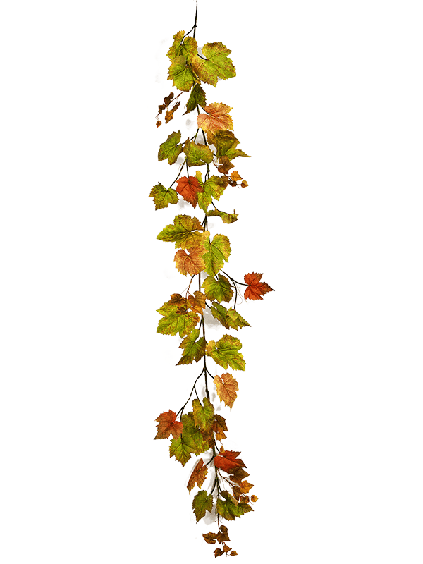 Grape leaf Garland Autumn - Foto 58115