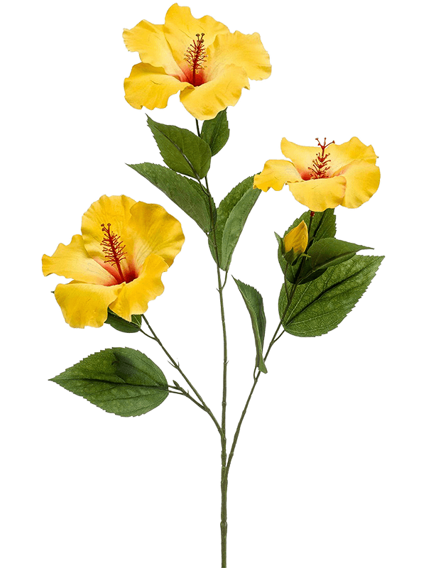 Hibiscus Spray x3 Yellow - Foto 76950