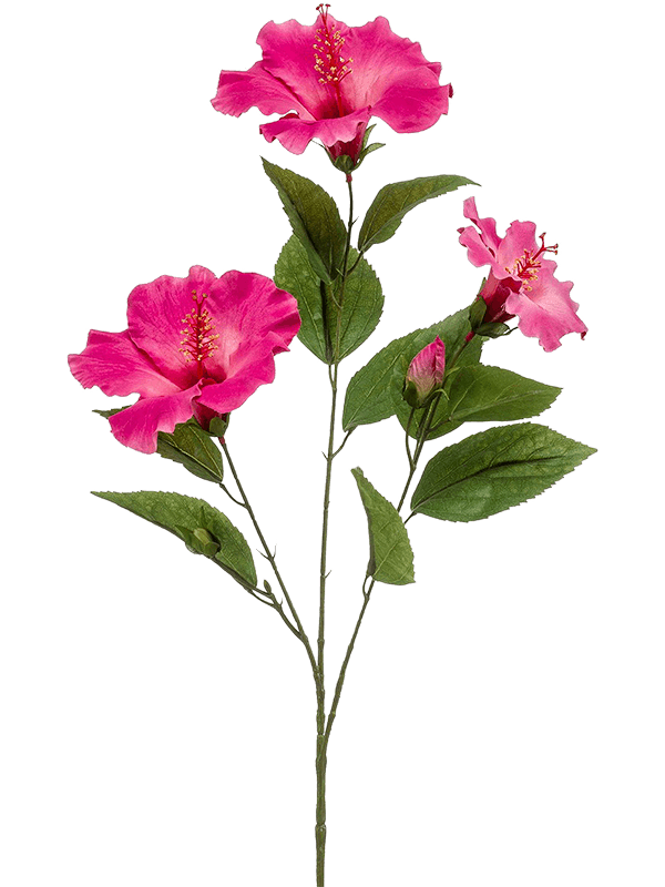 Hibiscus Spray x3 Beauty - Foto 76951