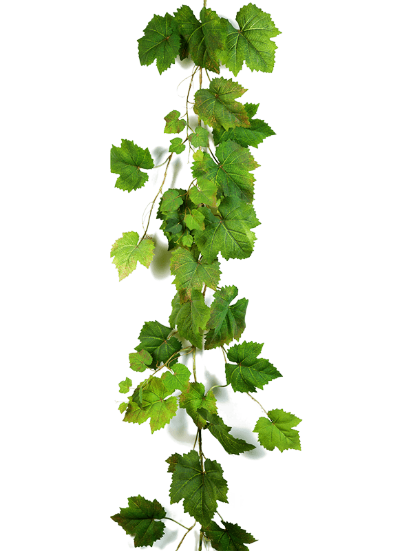 Grape leaf Garland - Foto 77056