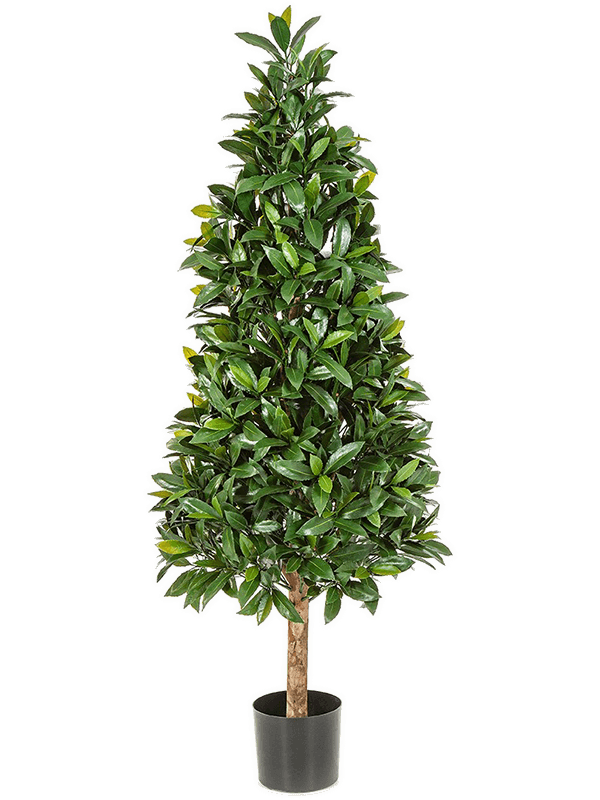 Laurel Tree UV (140 cm) - Foto 77135