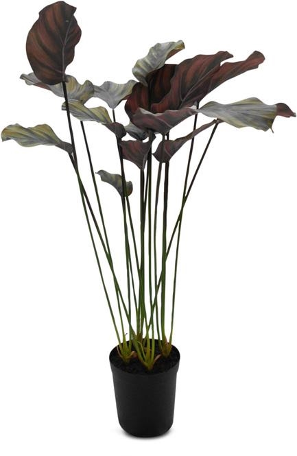 Calathea - Korbmarante Kunstpflanze, 90 cm - Foto 80497