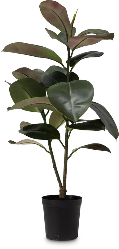 Ficus Elastica dunkelgrün - Gummibaum, Kunstpflanze, 95 cm - Foto 80521