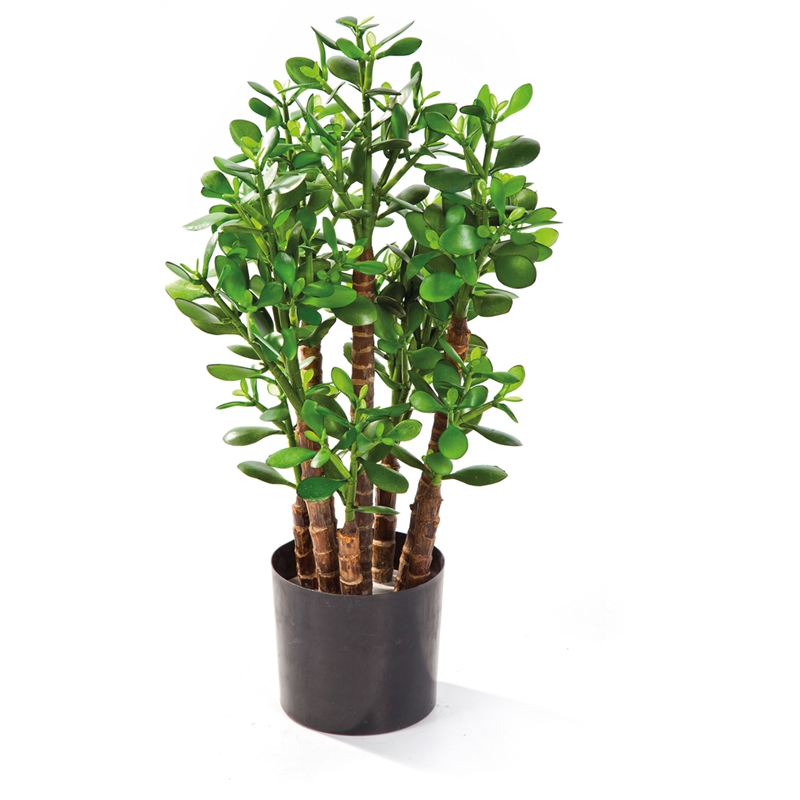 Geldbaum Crassula Ovata, Kunstpflanze, 60 cm - Foto 80549