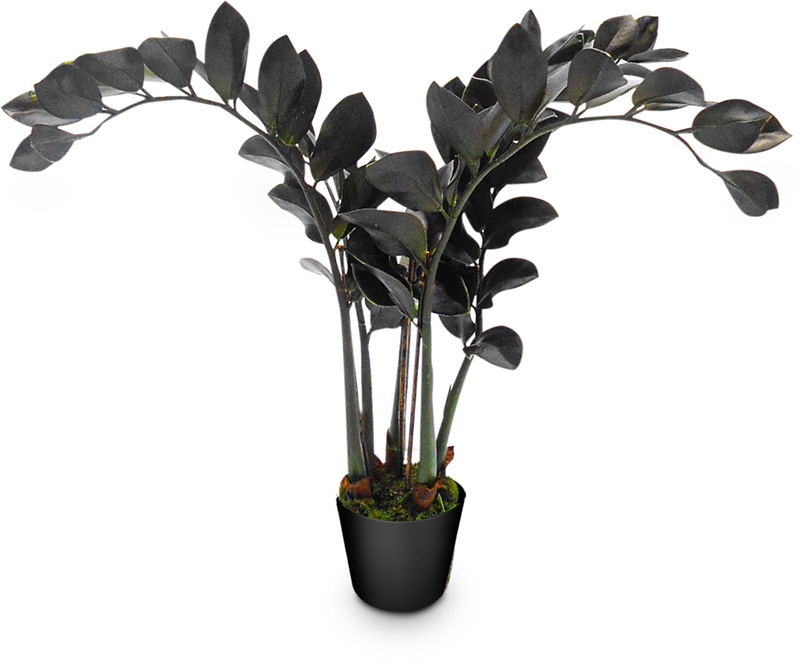 Glücksfeder - Zamioculcas, Kunstpflanze, 60 cm - Foto 80553