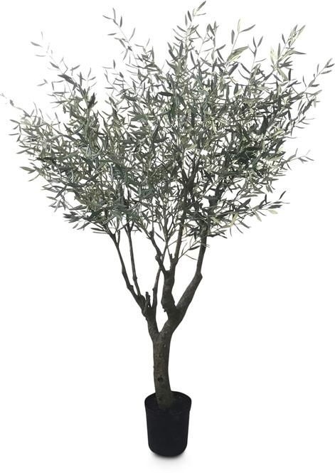 Olivenbaum - Olea europaea Kunstpflanze 245 cm - Foto 80589