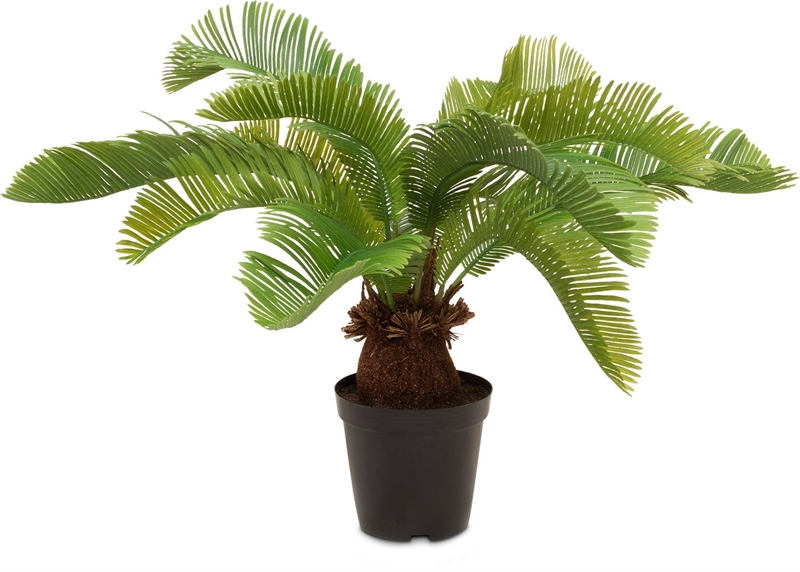 Palmfarn Cycas Kunstpflanze 59 cm - Foto 80593