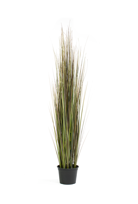 Zwiebelgras Kunstpflanze, dicht gewachsen, 153 cm, rot/grün - Foto 80630
