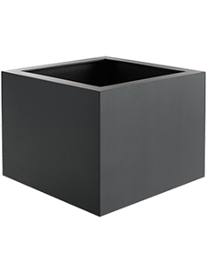 Argento low cube