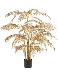 Areca Palm Bush Gold (40 lvs.)