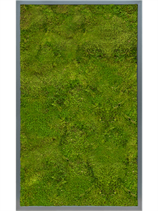 Moss Painting MDF RAL 7016 Satin Gloss 100% Flat Moss