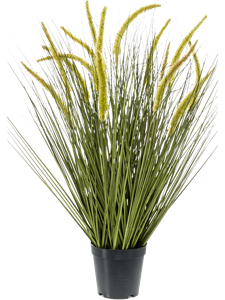 Grass Cattail Bush (15 fl.)