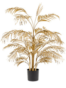 Areca Palm Bush Gold (27 lvs.)