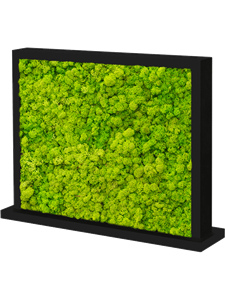 Moss Divider MDF Ral 9005 Satingloss Two-sided Reindeer moss(Spring green)