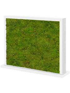 Moss Divider MDF Ral 9010 Satingloss Two-sided 100% Flat moss