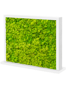 Moos Divider MDF Ral 9010 Satingloss Two-sided Reindeer moss(Spring green)