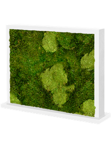 Moos Divider MDF Ral 9010 Satingloss Two-sided 30% Ball moss (natural) and 70% flat moss