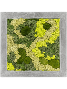 Moss Painting Polystone Raw Grey 30% Ball moss 70% Reindeer moss Mix)