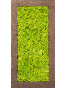 Moss Painting Polystone Rock 100% Reindeer moss (Spring green)