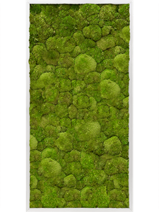 Moss Painting Aluminum 100% Ball moss 120-60-6