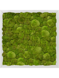 Moss Painting Aluminum 100% Ball moss