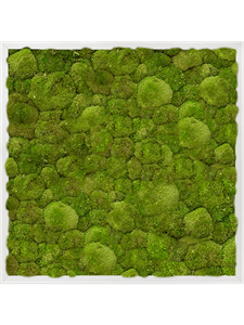 Moss Painting Aluminum 100% Ball moss 60-60-6