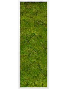 Moss Painting Aluminum 100% Flat moss