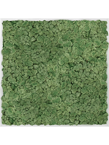 Moss Painting Aluminum 100% Reindeer moss (Moss green) 80-80-6