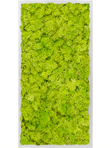 Moss Painting Aluminum 100% Reindeer moss (Spring green) 80-40-6