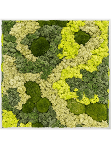 Moss Painting Aluminum 30% Ball moss 70% Reindeer moss (Mix)